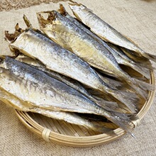 探味岛福建东山岛去头巴浪鱼干肉多海鲜特产竹提鱼咸鱼肉厚