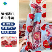 �F؛���޺�ţ����ţ��203�S�t�P�˾���ţ����������l���l��ţ��