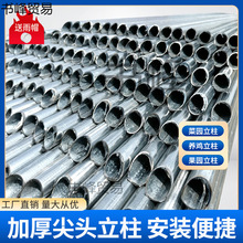 �Ӻ���^���������U�F�z�W������\䓹܈A�ܷ���֧�ΗU���ټ�֧��