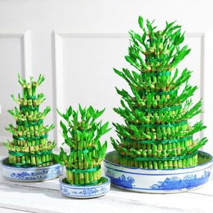 �������F�����ԽM�Ϲ�����ˮ���^�����ӿ͏d���Ҳ�ײ������D�\��