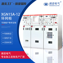 鹏变高压开关柜XGN15A-12(VS1) 单元式交流金属封闭环网开关设备
