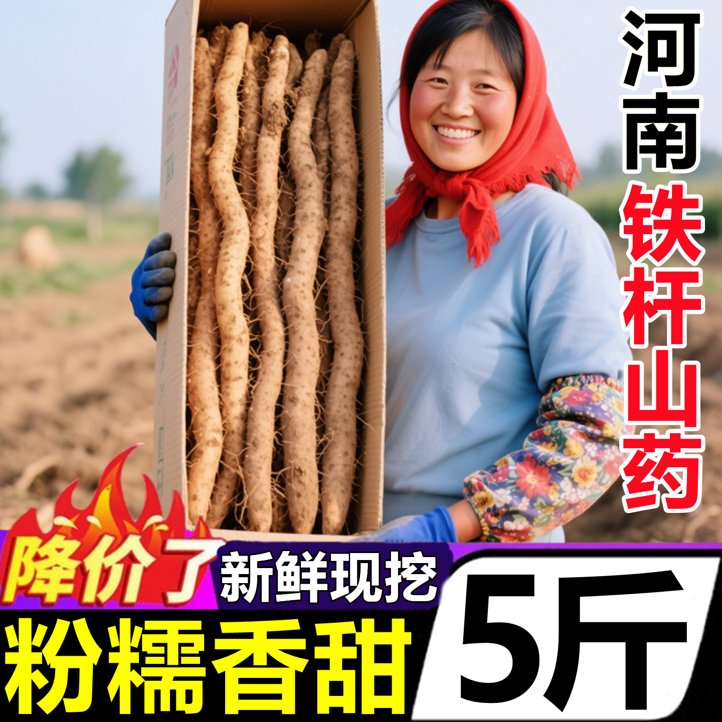 河南焦作淮山铁棍山药新鲜5斤正宗垆土山药淮山药铁棍官方旗舰店