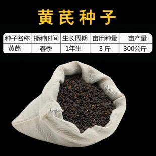 �����S�ηN�� �����²� ������ �S�ξd �S���� �S�ηN�� �ļ����N