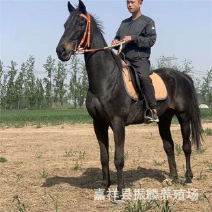 �Rƥ�Bֳ�������R �T���R���Ј��r���Ѫ�R�����Rƥ����