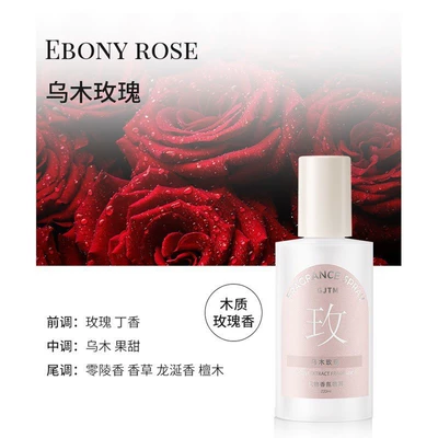2026 New Model Home Fragrance, Car Perfume Aromatherapy - clothing-fragrance-spray-oud-rose