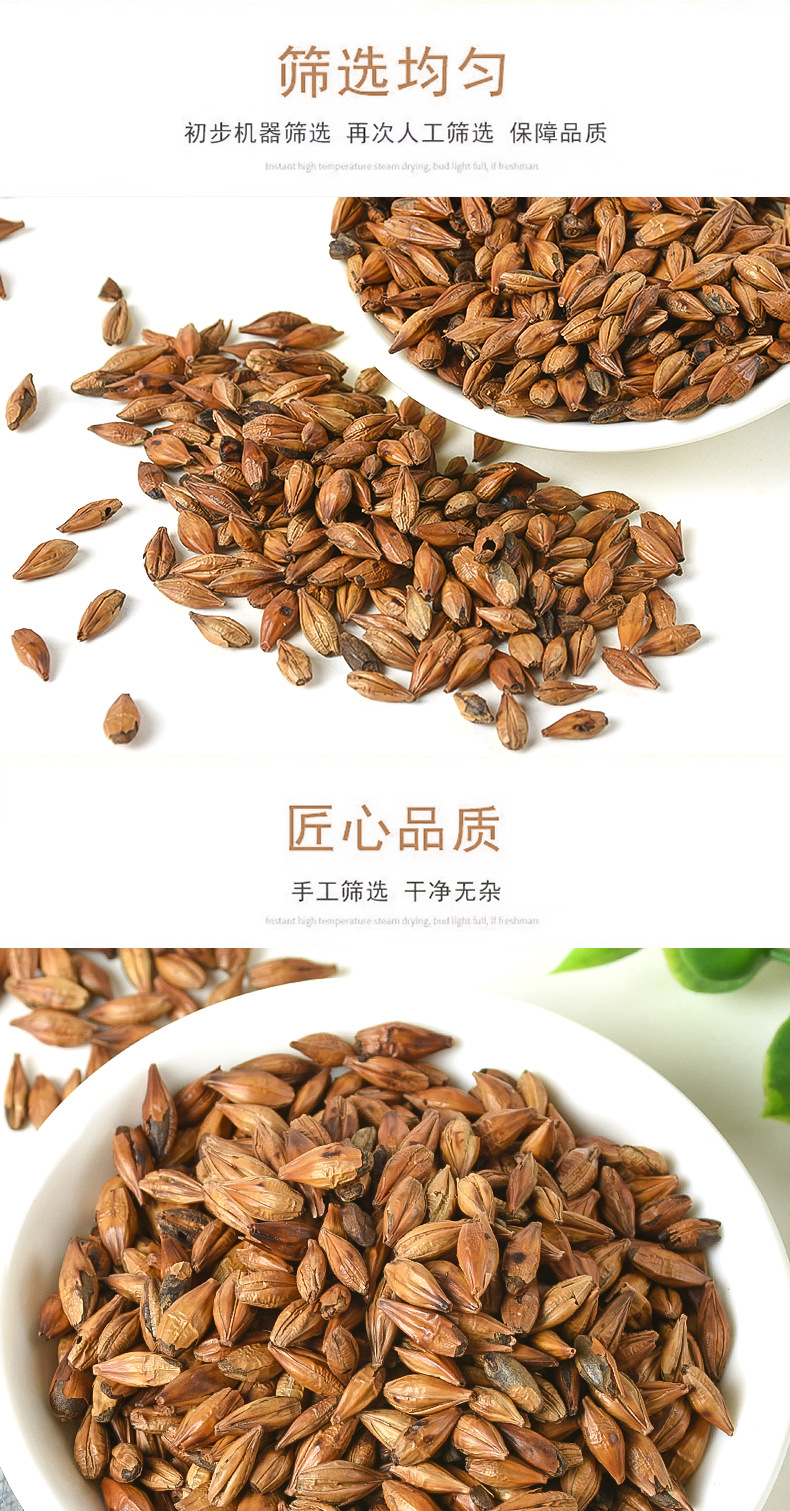 Roasted Barley Tea (Hordeum vulgare) — Bulk Loose Grain Herbal Tea, 500g specifications