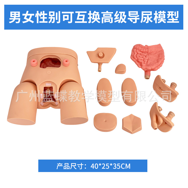 ��Ů��������ֳ�����ʵ���ֱ����ϰģ�ͽ�ѧ��������������ֳϵͳ