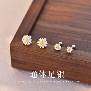 C02009  С�r�ն��