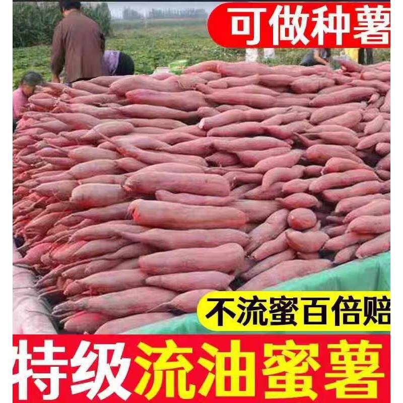 Authentic Shandong Yanshu No. 25 Sweet Potato 5kg Sweet Potato, Fresh Farm-Grown Super Sweet Potato, Potato and Sweet Potato