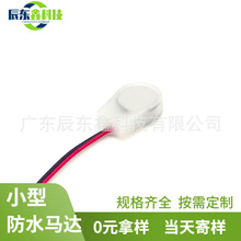 3V-5V微型电机迷你小尺寸防水 按摩内衣 成人用品过超声波扁平马