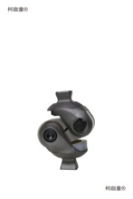 ��֫������˳������iϥ�P����������ϥ�w�x֫������P���̫��