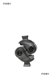 ��֫������˳������iϥ�P����������ϥ�w�x֫������P���̫��