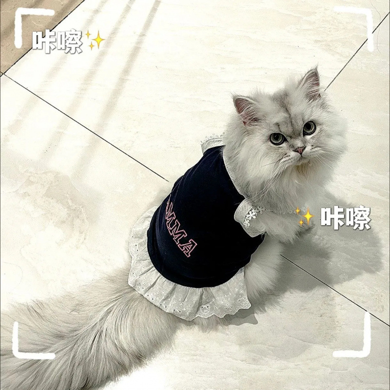 Ropa de tirantes para mascotas primavera y verano nueva ropa de perro de encaje de chica caliente transpirable