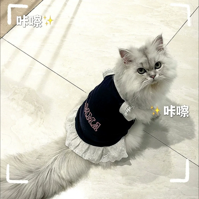 Одежда на слинге для домашних животных, весенне-летняя новая дышащая сексуальная кружевная одежда для собак, жилет для кошек, одежда для бишон-померанского шпица