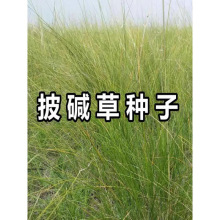 |ݷNͺ}|||éVɽ߅;Go¹