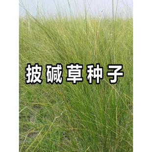 ���|�ݷN���ͺ������}�|�����|���|é�V��ɽ߅�;G�o�¹�������