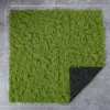 Light color immortal ground moss sheet 0.5*1 meter