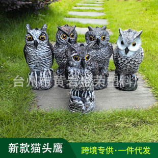 �¿��12Ӣ��؈�^������ϵ�Б�����B����ͥԺ�b��T�D�[������