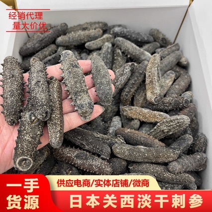 日本关西刺参10-200头海参 纯淡干滋补品海味淡干海参干货批发