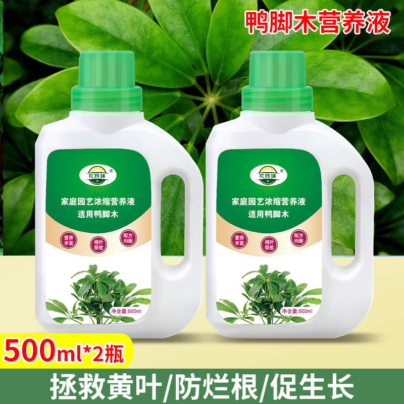 鸭脚木专用营养液500ml*2瓶