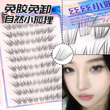 С����ٽ�ë�ϊy���m��Ȼ���N����ٽ�ë�@�۷Ŵ��p���������z