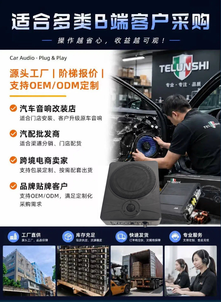 10inch Car ultra-thin subwoofer under-seat active speaker with tweeter dual speakers car audio factory direct supply