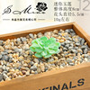 001 Velvet green series simulation multi -meat head creative DIY accessories Plant wall simulation flower cross -border Dai Shangmiao