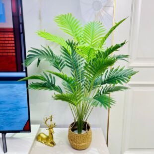 ����GֲС����ɢβ�����滨�Ž��~�Ҿ��b��҃Ȕ[��24�~������