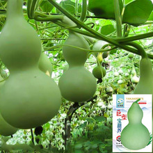 ���ͺ��J�N�ӳ�����J���ش�̖���J�N�с������J�����^�pͥԺ����