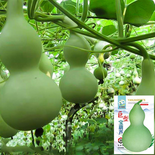 ���ͺ��J�N�ӳ�����J���ش�̖���J�N�с������J�����^�pͥԺ����