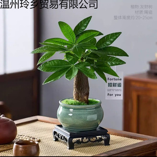 �lؔ���辰�҃ȾGֲ�������Կ͏d�k���������ļ����Bֲ��[���羳