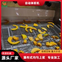 菩提南瓜淋浆设备 南瓜片全自动淋浆机 可根据产品调节裹浆量