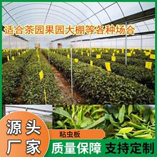 �p��ճ�x�S���T�x������Ә�Ϲ���ω�nω�����E�R�@���ω�T����
