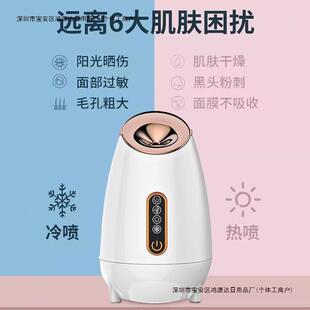 Face Steamer Face Household Humidifier Sprayer Steam Meter Hot and Cold Double Spray Face Steamer Spray Water Replenishment US Free Shipping