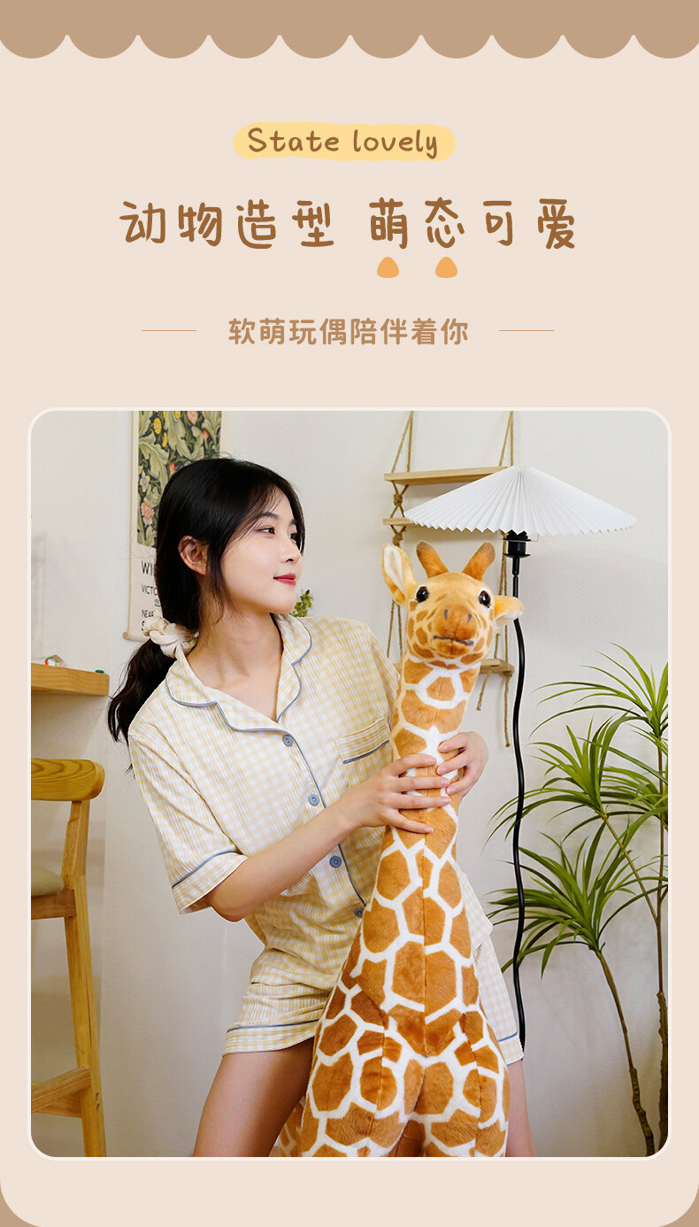 详情图