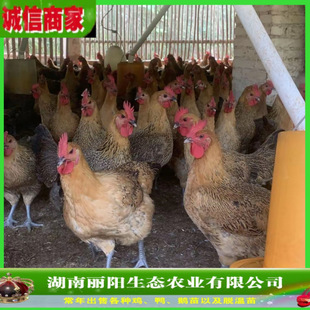 ���l�u����w���_���u���r����B�K�ݵ��u�л�����w���M�ṩ�Bֳ