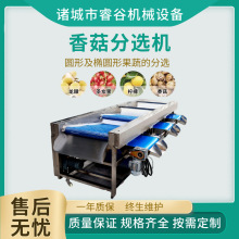 {ݮС^VYxxO 304P䓲| Yx׼ ٶȿ{