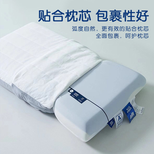 Hotel Pillowcase Deep Sleep Memory Pillow Pro 70x42 Pillow Cover Set of 2 Ice Silk Planet Style Special Edition