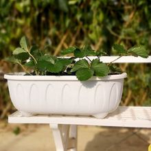 ������؈���L���ηN���L�l�߲��̨�Nֲ��Ӻ��֬�бP