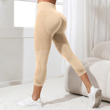 3D�W�����N�o�p���ν���ѝ�ո��o�������������٤ѝ