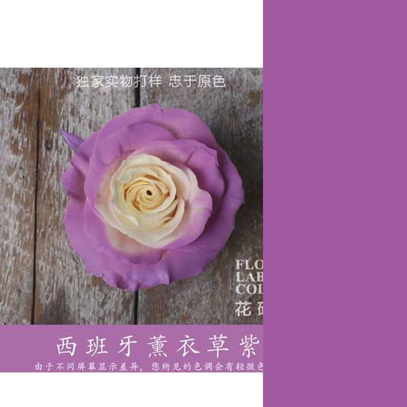 스페인산 라벤더 퍼플