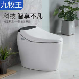 九牧王家用即热式智能马桶坐便器暖风烘干自动翻盖清洗漏电保护