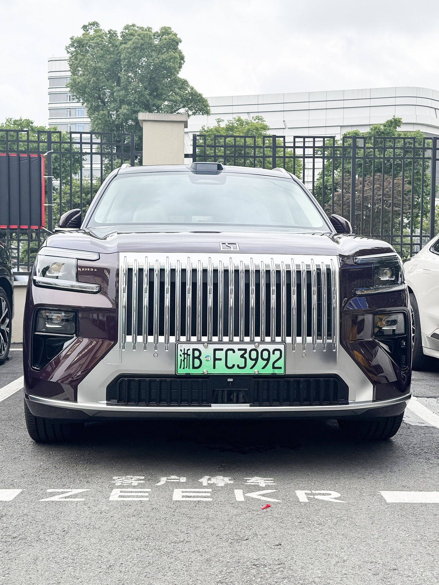 Suitable for 26 models of Zeekr 8X, insect-proof net for front grille, dust-proof net, air intake protection cover, anti-catnip modification