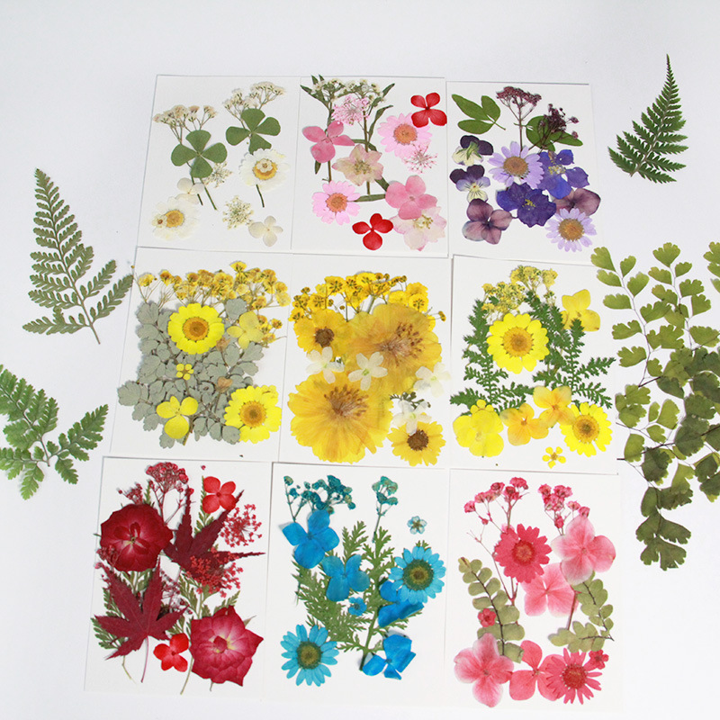 Pressed flower material kit plant specimen pressed flowers real leaves real flowers sticker art petal makeup incense candle material
