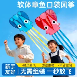 其他益智玩具;玩具挂图;早教闪卡