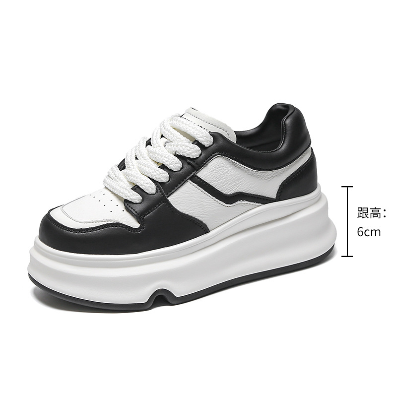 W24b10 black and white