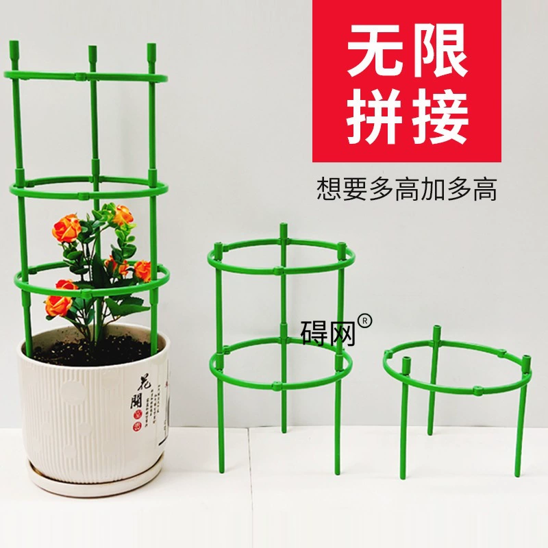 Поддержка комнатных растений для вьющихся растений, таких как драконья фруктовая, розы, орхидеи «крабовый коготь», потос и подсолнухи.