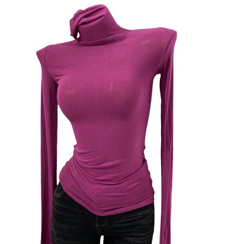 Thin and soft—Korean-style ruffled-neck long-sleeved T-shirt, high-neck base layer top for women, slim-fit slightly sheer top, new autumn/winter style.