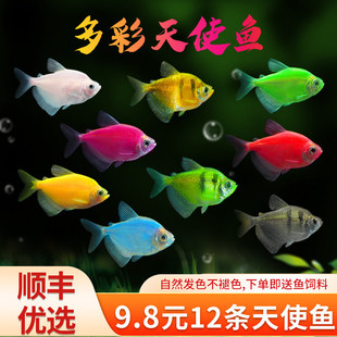��ʹ�~�^�p�~���~��̖Ⱥ�λ��w���R��ȸ�Ꭷ�~С���~��ˮ���B�ͻ�