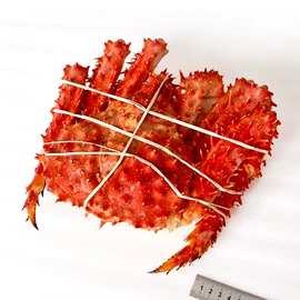 鱼类;虾类;贝类